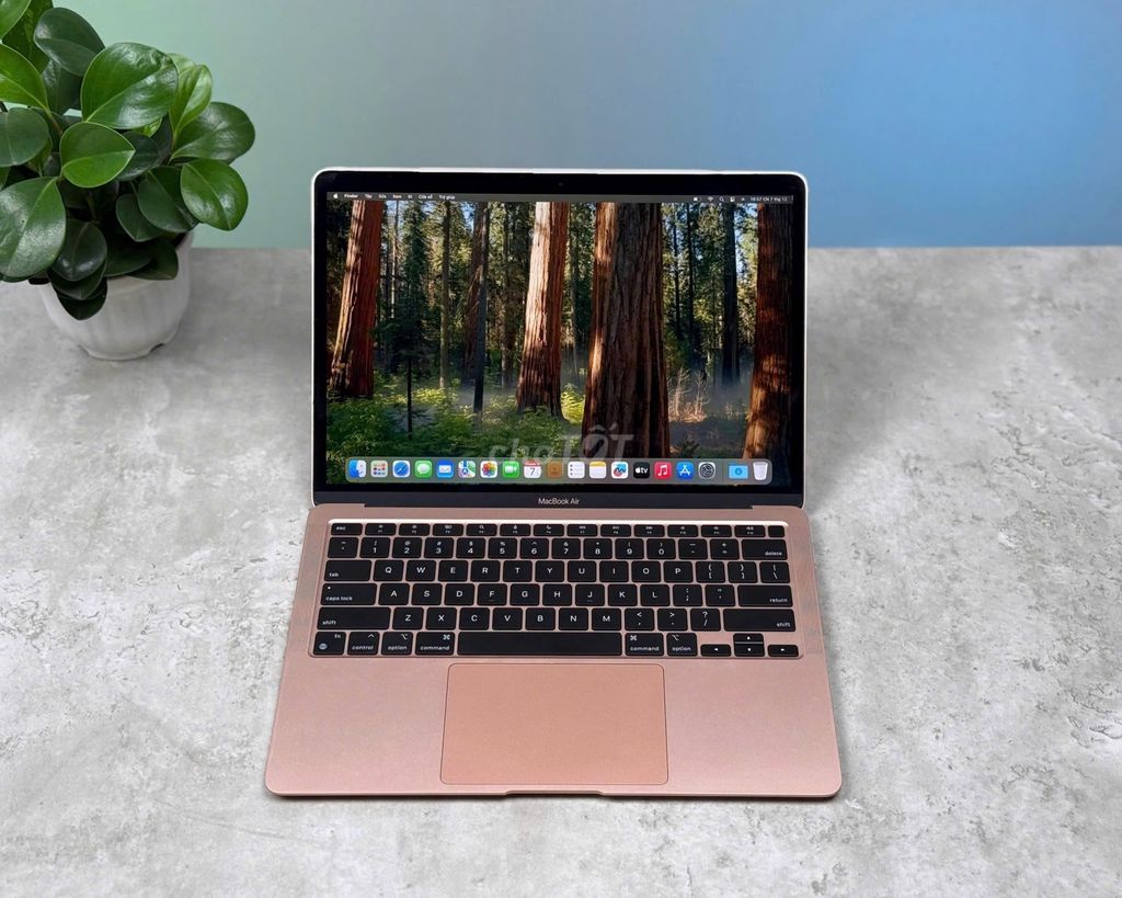 Apple Macbook Air M1 Gold Rose 13.3” 8GB/256G. Mua bán Laptop tại Thành phố Thủ Đức Tp Hồ Chí Minh được đăng bởi Nguyễn Đức Tính hình 1
