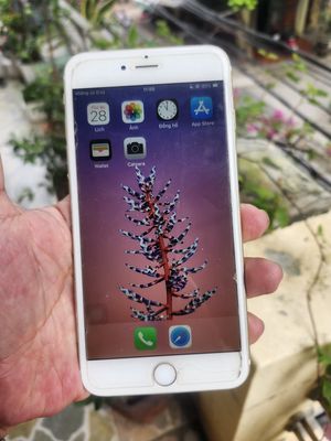 Iphone 6plus 16g. Mua bán Điện thoại tại Thành phố Thái Bình Thái Bình được đăng bởi Vũ Hùng