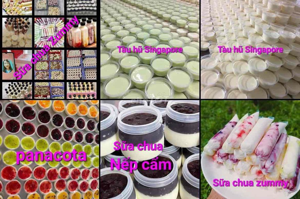 SỮA CHUA TÀU HŨ SING PANNA COTTA TẠI TPHCM