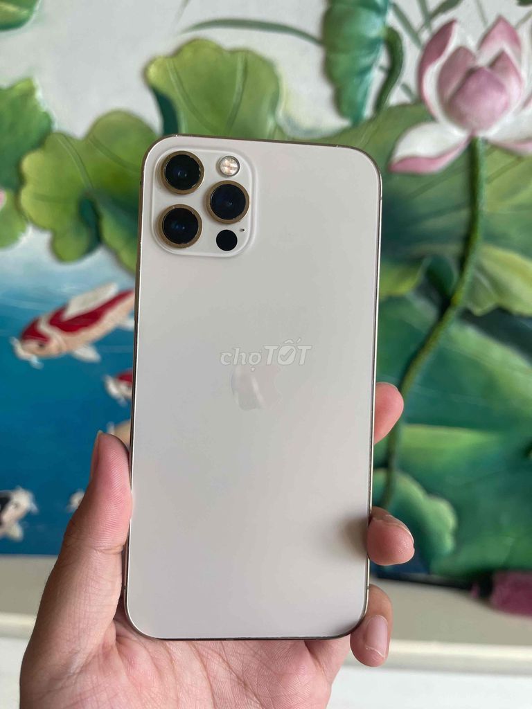 Apple iPhone 12 Pro 128GB Vàng 88%. Mua bán Điện thoại tại Huyện Thuỷ Nguyên Hải Phòng được đăng bởi Nhật Hạ Mobile hình 1