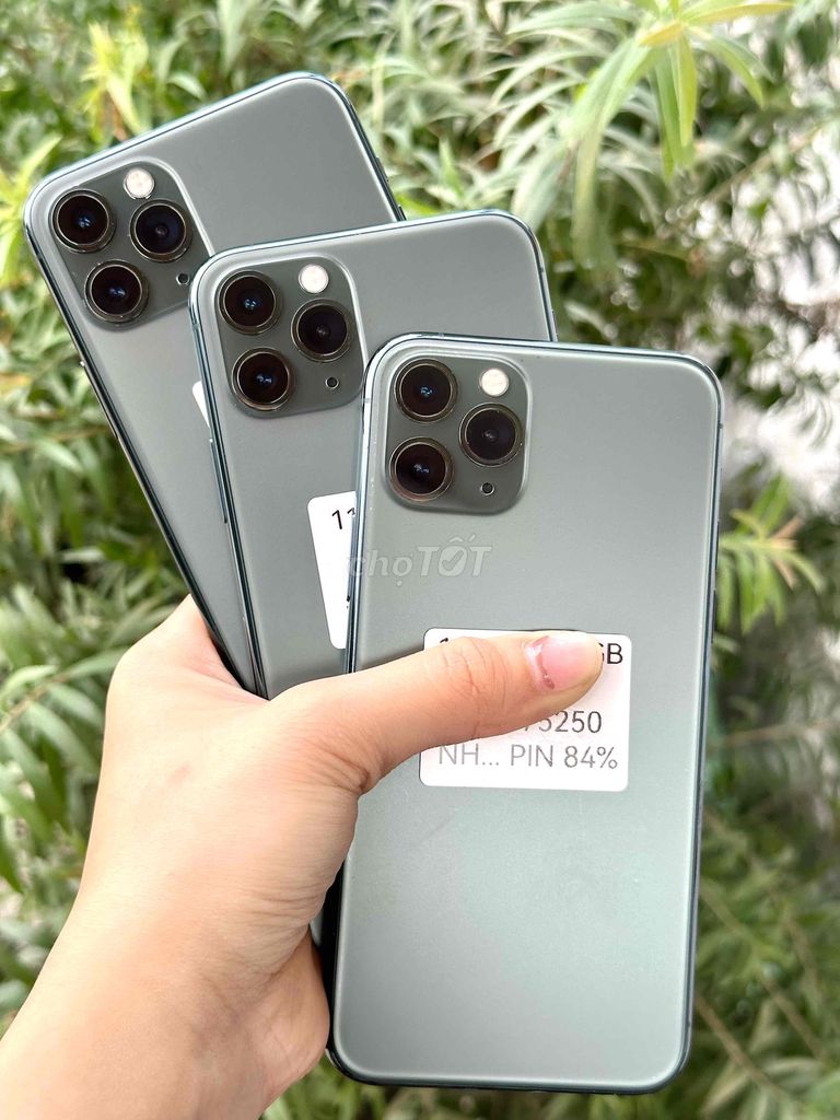 11 Pro góp bao đậu - Z phone