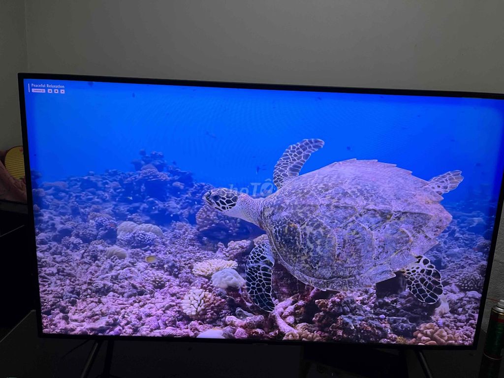 Smart TV Samsung 55 inch 4k 2024. Mua bán Tivi, Âm thanh tại Quận Lê Chân Hải Phòng được đăng bởi Tuấn Tú hình 1