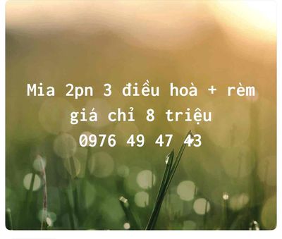 Rent · Mia Center Point · 2 bd · 63 м² · Quận Liên Chiểu, ул. Đường Ngô Thì Nhậm