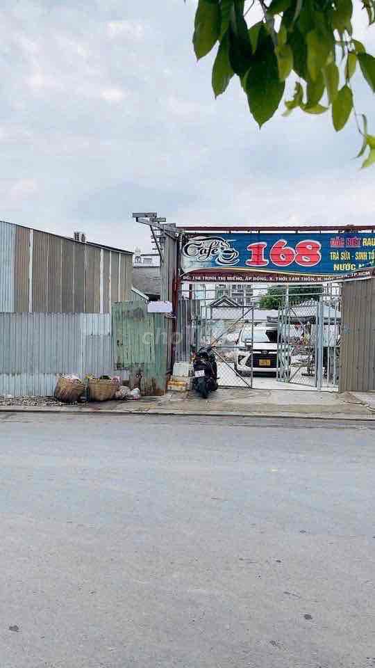 MT Trịnh Thị Miếng