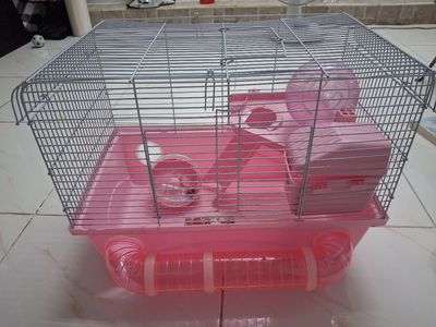 Pass lồng hamster 47cm. Mua bán Phụ kiện, Thức ăn, Dịch vụ tại Quận 8 Tp Hồ Chí Minh được đăng bởi Sang Lê
