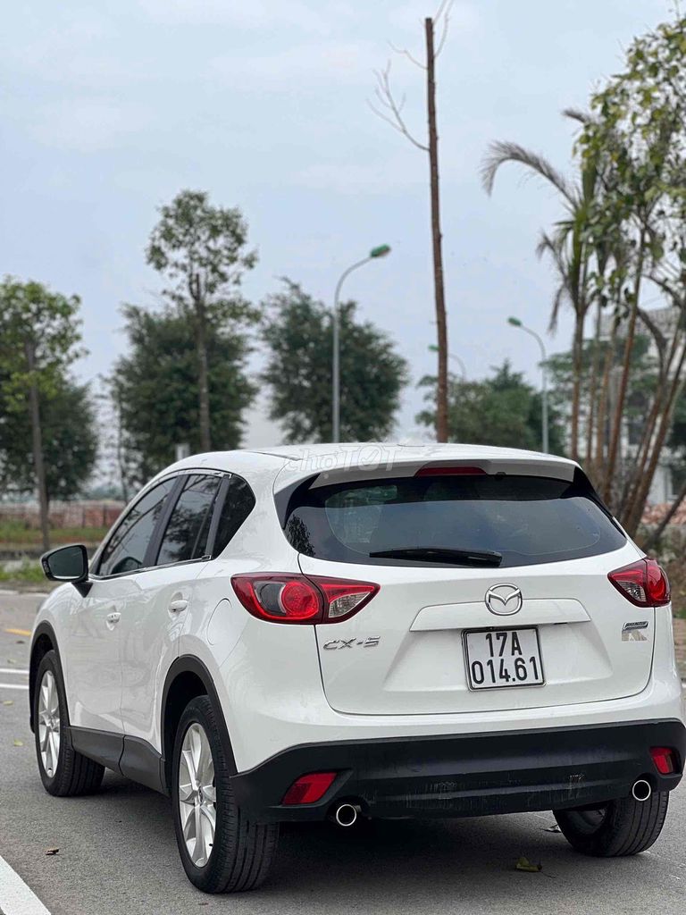 Ảnh số 8