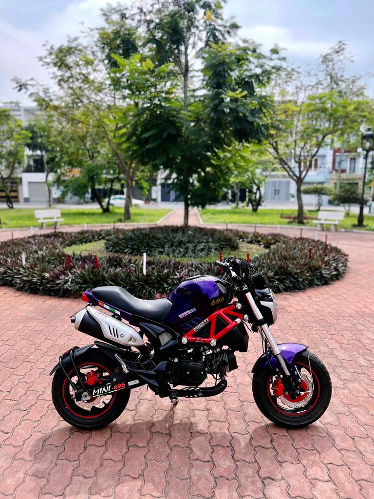 Moto Mini Ducati Chính Chủ - Biển SG