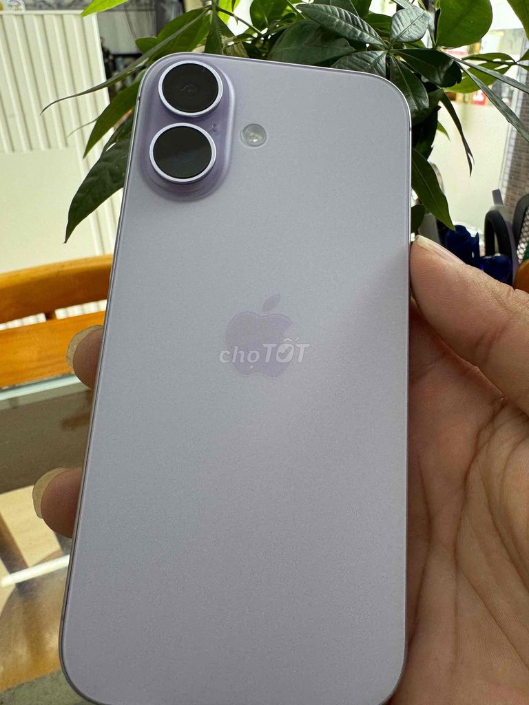 iPhone 17 256GB Tím zin chất sạc 33L bh 06/2027.. Mua bán Điện thoại tại Quận Ninh Kiều Cần Thơ được đăng bởi Khải mobile hình 1