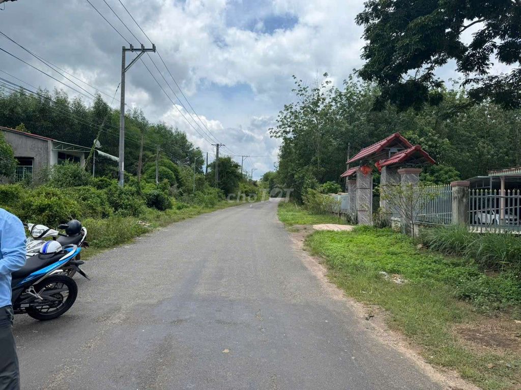 Cần bán 10m Đường DH Đồng Tâm - Thuận Lợi giá 2025. Mua bán đất tại Huyện Đồng Phú Bình Phước được đăng bởi Thanh Lâm hình 1
