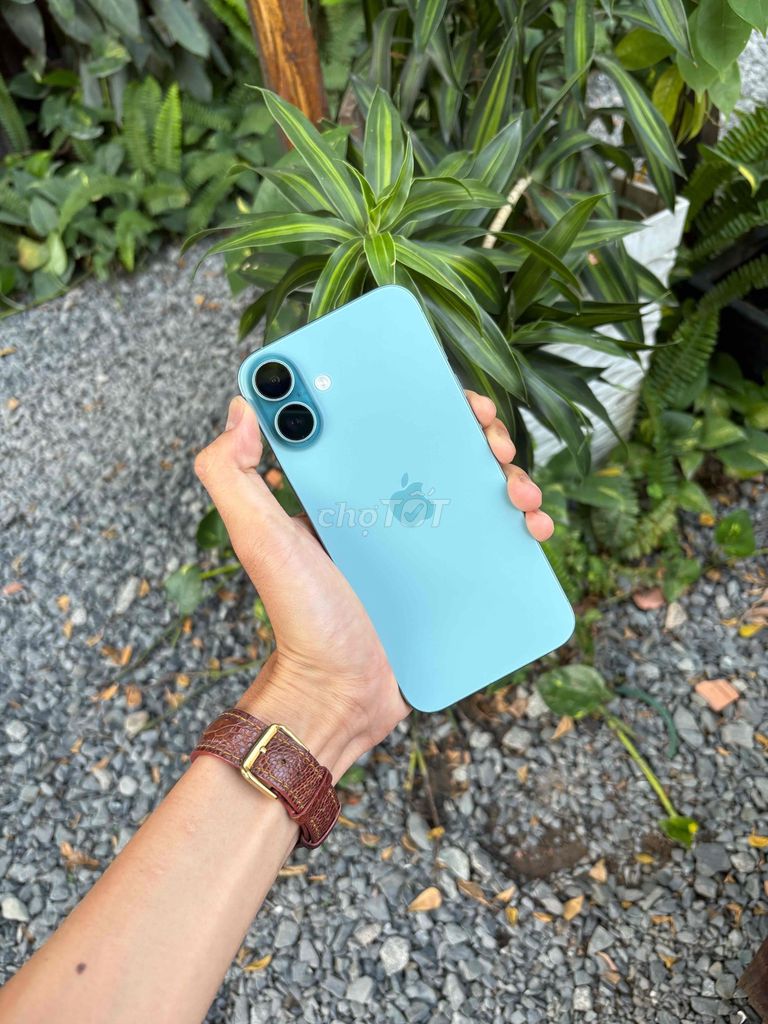 Apple iPhone 16 Plus 128GB Xanh. Mua bán Điện thoại tại Quận Ninh Kiều Cần Thơ được đăng bởi Tâm mobile hình 1