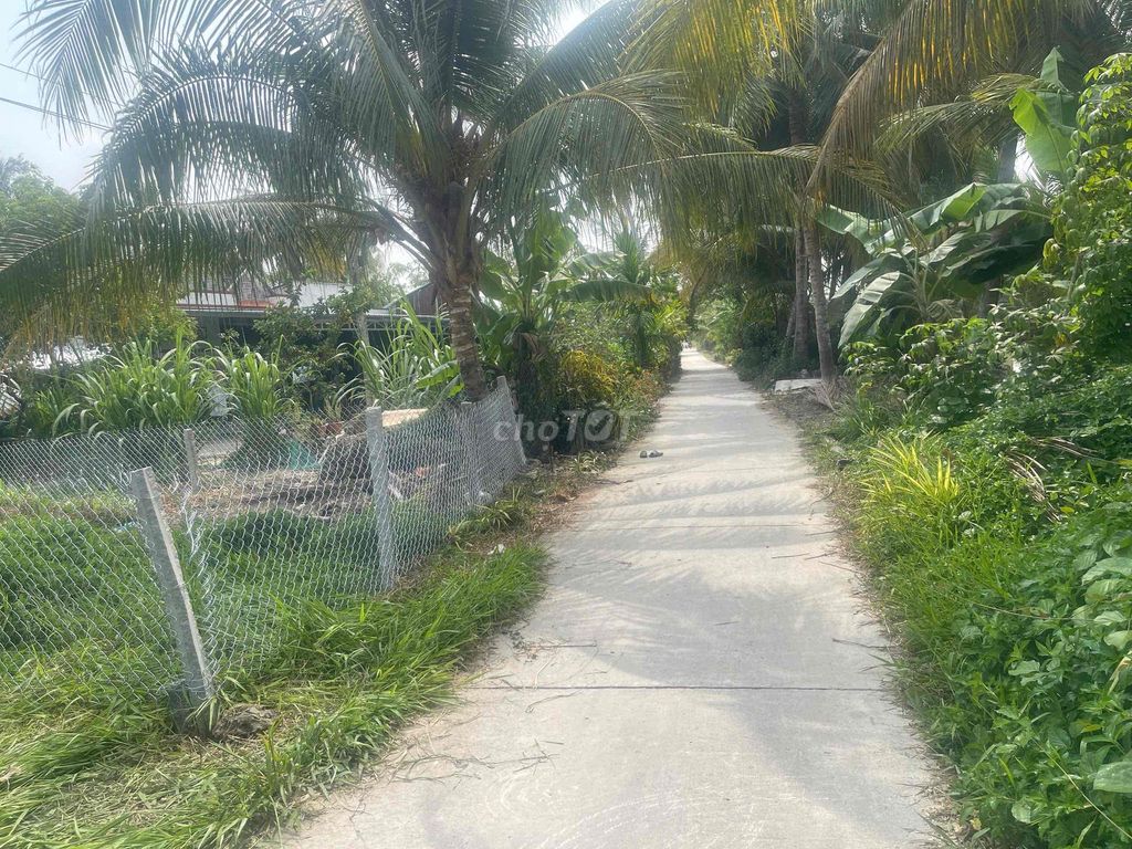 Cần bán đất 221.5m2 (có 50m thổ cư) ở ấp Mỹ Lợi B, xã Mỹ Tú, Cần Thơ