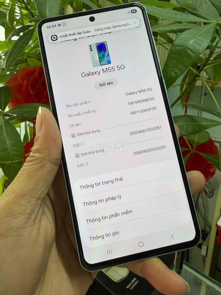 Samsung Galaxy M55 5G 256GB Xanh Ngọc. Mua bán Điện thoại tại Thành phố Biên Hòa Đồng Nai được đăng bởi nguyễn út apple hình 1