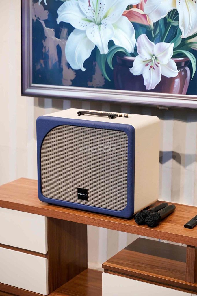 Loa karaoke di động PARAMAX EVOX. Mua bán Tivi, Âm thanh tại Huyện Trảng Bom Đồng Nai được đăng bởi Vinh Báo Đồng Nai hình 1