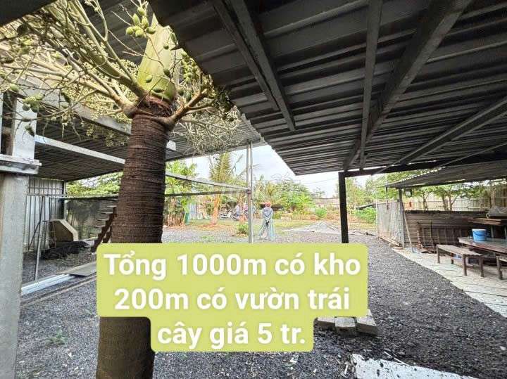 Nhà vườn 1000 m có kho 200m Đường kênh trung ương vĩnh lộc b