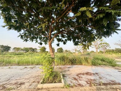 Bán 2 lô sát nhau Biên Hòa New City, đường 24m, chỉ 2.35 tỷ bao phí. Mua bán đất tại Thành phố Biên Hòa Đồng Nai được đăng bởi Võ Đình Nguyên