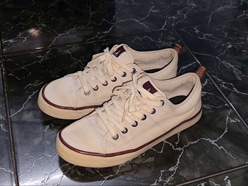 Giày Sneaker Dincox Vải Canvas. Mua bán Giày dép tại Quận Cái Răng Cần Thơ được đăng bởi Lộc Lê hình 1