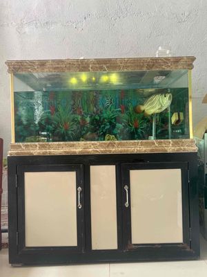 Minh ko co thoi gian nuoi. Mua bán Chó tại Huyện Long Thành Đồng Nai được đăng bởi Dang Nhan 