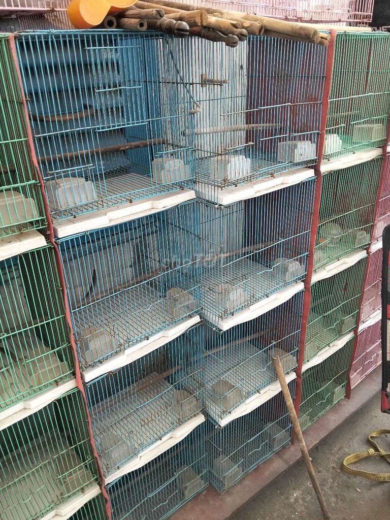 Lồng chim sắt sơn tĩnh điện 29cm. Mua bán Phụ kiện, Thức ăn, Dịch vụ tại Huyện Hóc Môn Tp Hồ Chí Minh được đăng bởi thanh hình 1