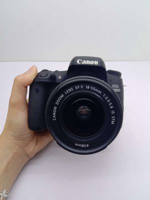 Canon 8000D