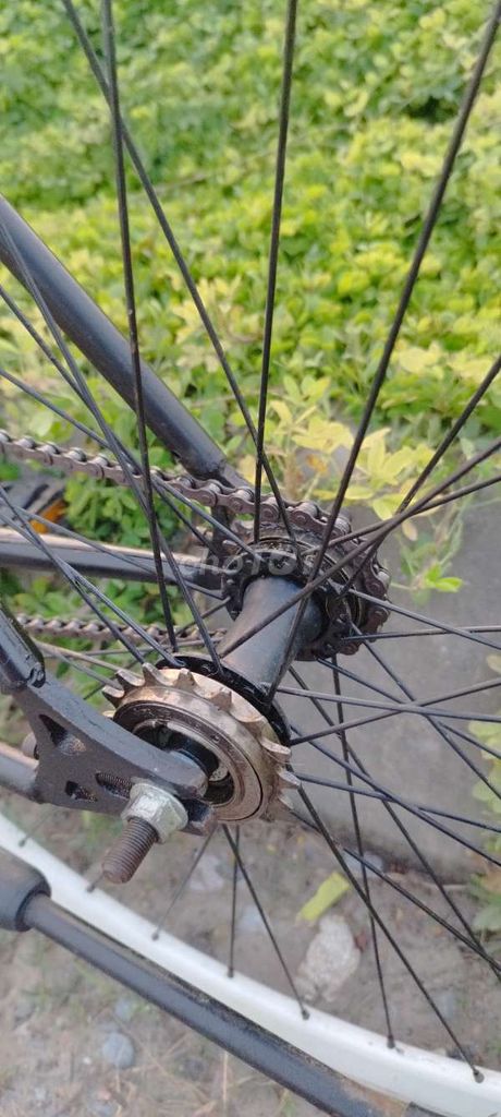 Xe đạp Fixed Gear khung nhôm Đen. Mua bán Xe đạp tại Quận Long Biên Hà Nội được đăng bởi Trần Nghi hình 4