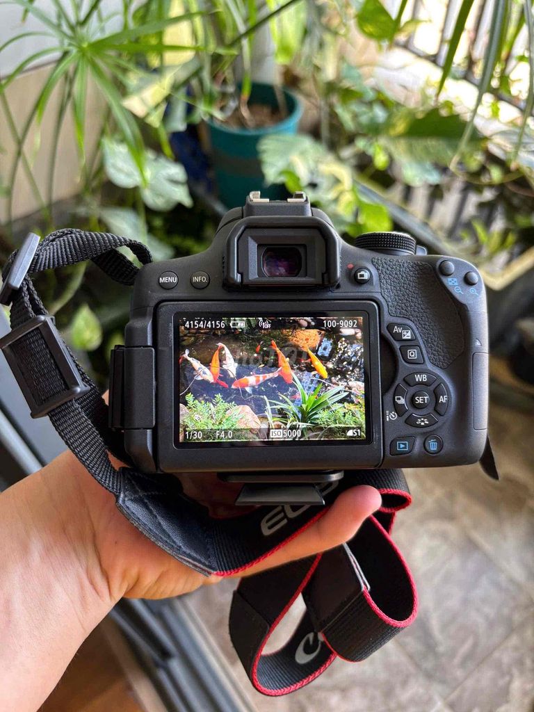 Máy ảnh Canon EOS 750D EF 50mm f/1.8 STM Đen. Mua bán Máy ảnh, Máy quay tại Quận Cầu Giấy Hà Nội được đăng bởi Thuy hình 1