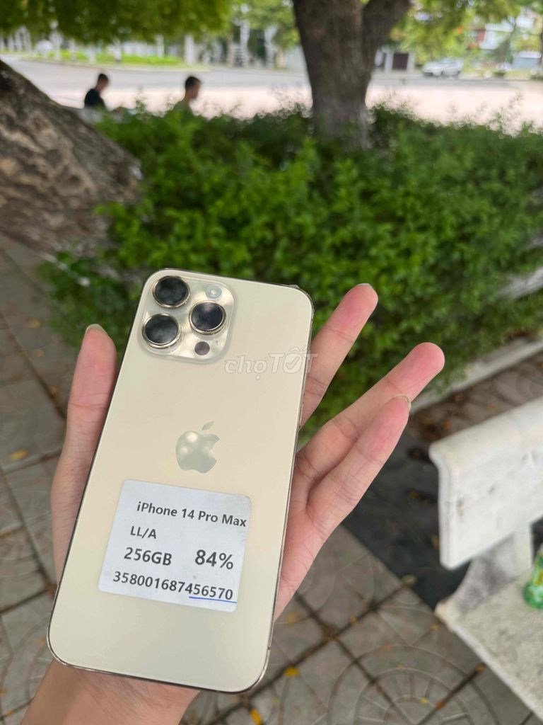 Apple iPhone 14 Pro Max 256GB Vàng 84%. Mua bán Điện thoại tại Quận Ngũ Hành Sơn Đà Nẵng được đăng bởi Trieu Le hình 1