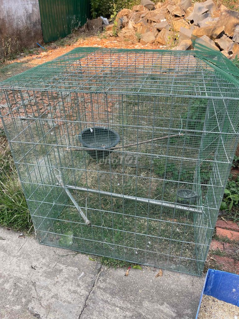 Lồng gà Thép Xanh lá Chống chuột 80. Mua bán Phụ kiện, Thức ăn, Dịch vụ tại Thành phố Buôn Ma Thuột Đắk Lắk được đăng bởi zdata hình 1