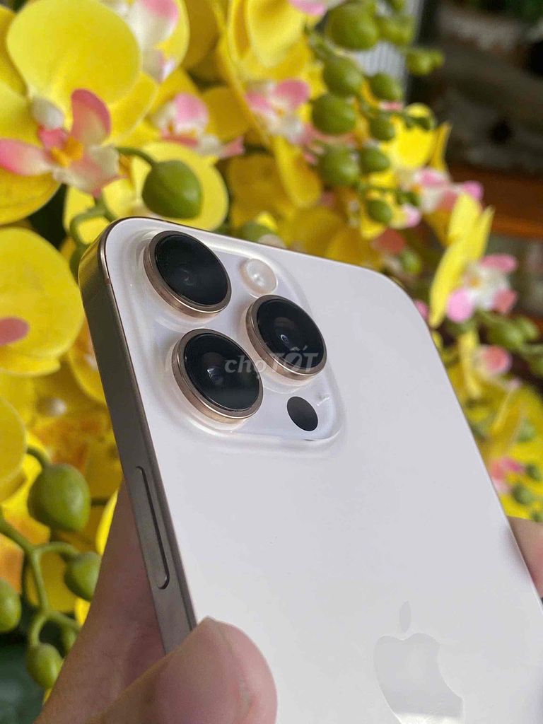 Apple iPhone 16 Pro Max 256GB Vàng 99.9%. Mua bán Điện thoại tại Quận Ninh Kiều Cần Thơ được đăng bởi Khải mobile hình 1