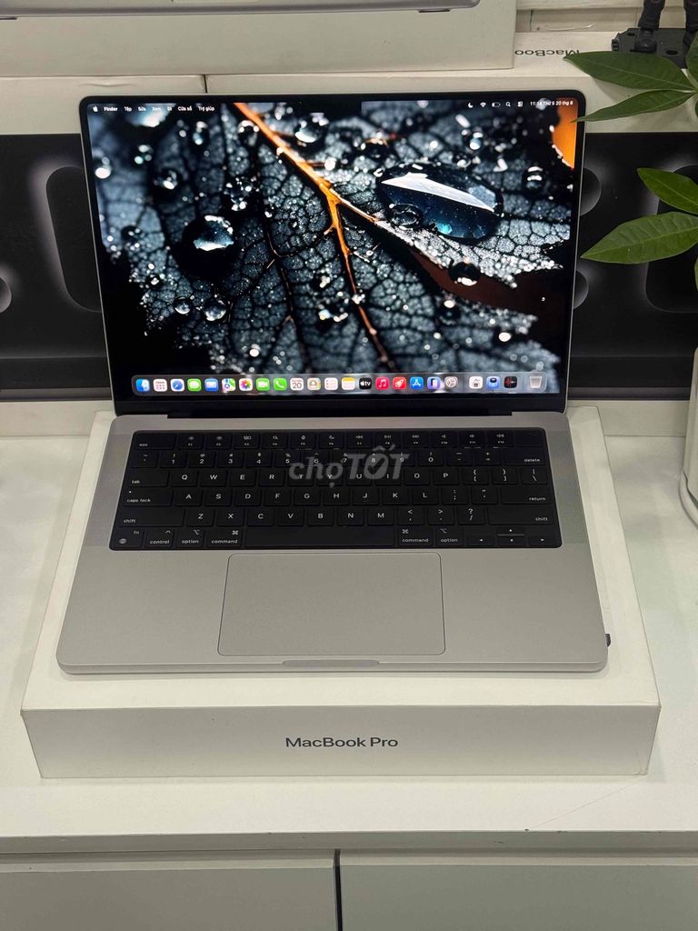 MacBook Pro M3 Pro 14” 18GB/512GB máy sạch,zin. Mua bán Laptop tại Quận 10 Tp Hồ Chí Minh được đăng bởi Quyền Tấn hình 1