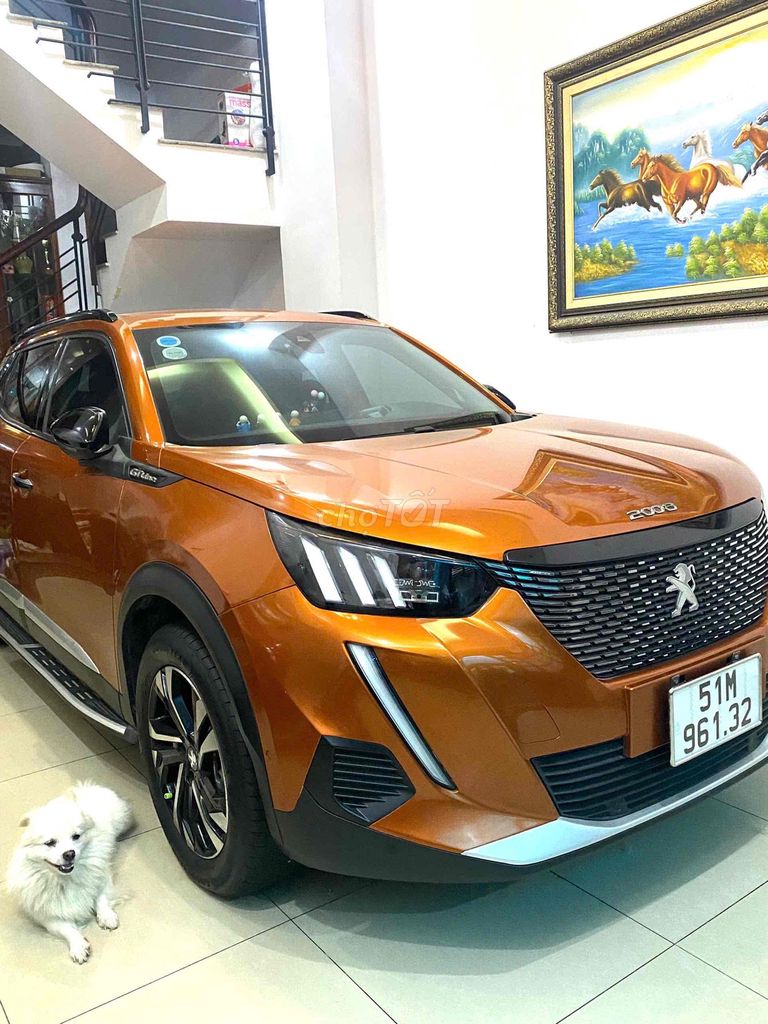 Peugeot 2008 2022 photo 2
