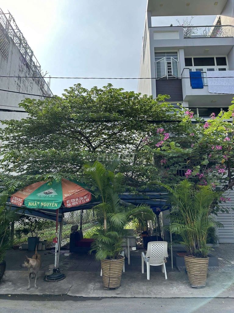 Bán đất mặt tiền khu Ao Sen Tên Lửa gần siêu thị Aeon 5x20