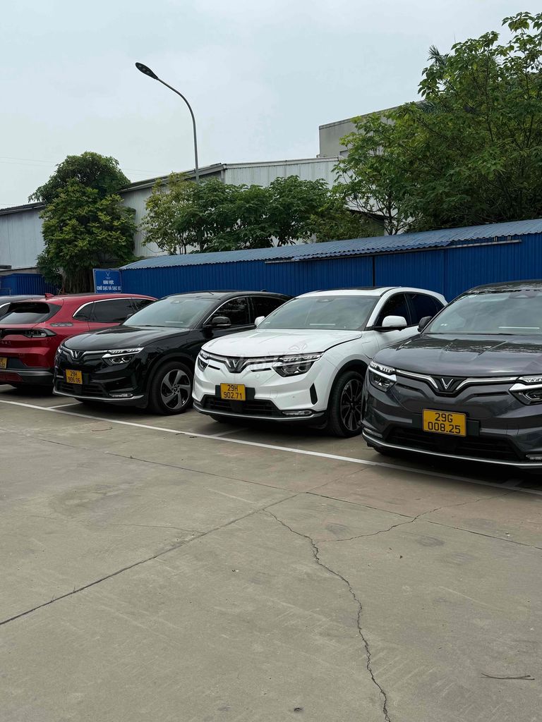 Ảnh số 5