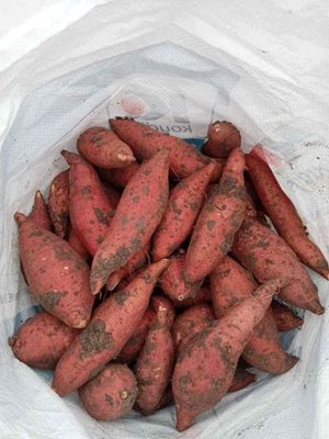 mua 5 kg tặng 3kg , mua 10 kg tặng 7kg. Mua bán Đồ ăn, thực phẩm và các loại khác tại Huyện Hóc Môn Tp Hồ Chí Minh được đăng bởi đặc sản quê nhà 49