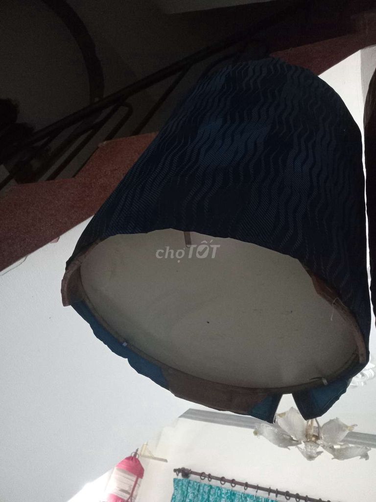 ca bộ chim cam. Mua bán Chim tại Quận Bình Thạnh Tp Hồ Chí Minh được đăng bởi Lâm Nguyễn Lê Hoàng hình 1