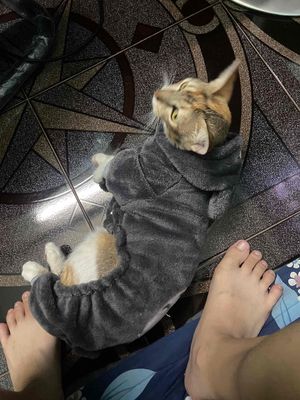 Bé cần tìm một mái ấm mới ạ