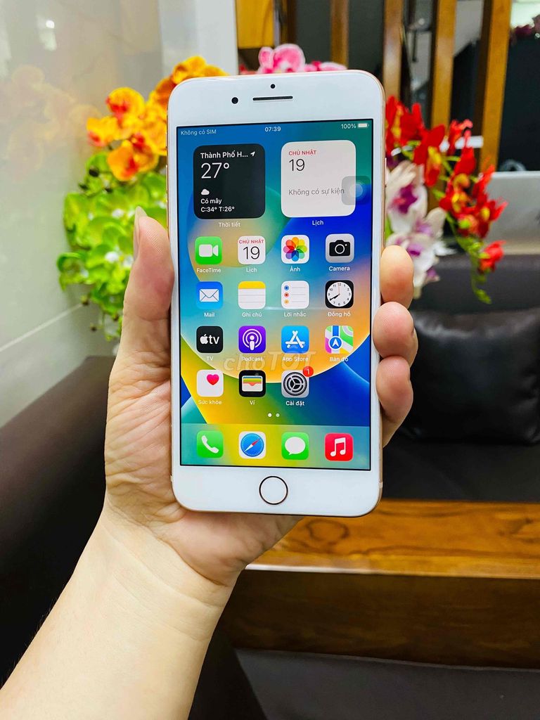 iPhone 8 Plus 64G, zin, còn vân, full cn. Mua bán Điện thoại tại Quận Tân Bình Tp Hồ Chí Minh được đăng bởi ANH ĐỨC Store hình 1