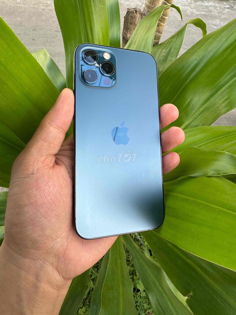 iPhone 12 Pro ZiN óc áp. Mua bán Điện thoại tại Quận Ninh Kiều Cần Thơ được đăng bởi phan Nhân  hình 1