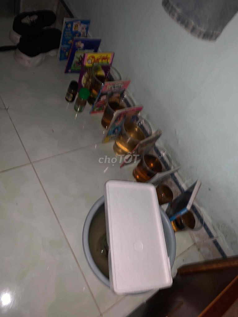 Cá cảnh Betta nhiều màu 4 cặp. Mua bán Thú cưng khác tại Huyện Củ Chi Tp Hồ Chí Minh được đăng bởi Trúc Nguyễn hình 1