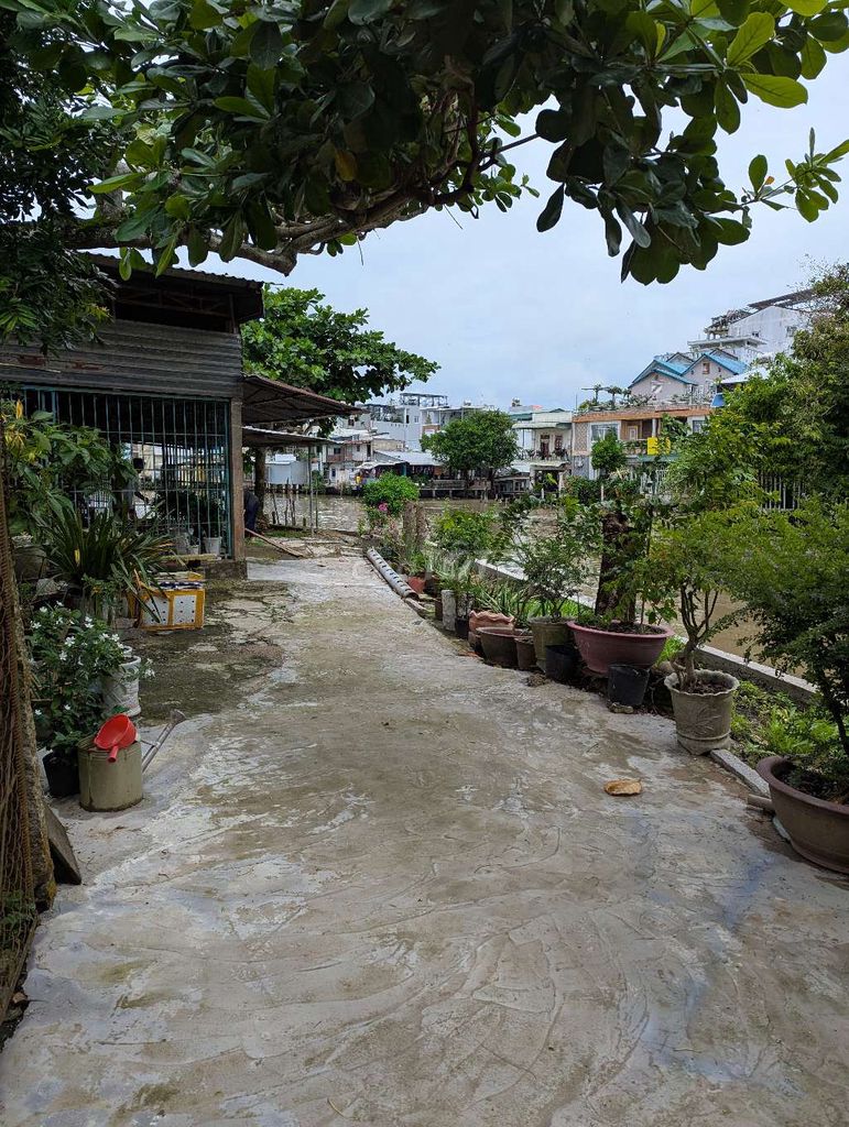 Cho thuê bãi & bờ sông trưng bài hàng hoá