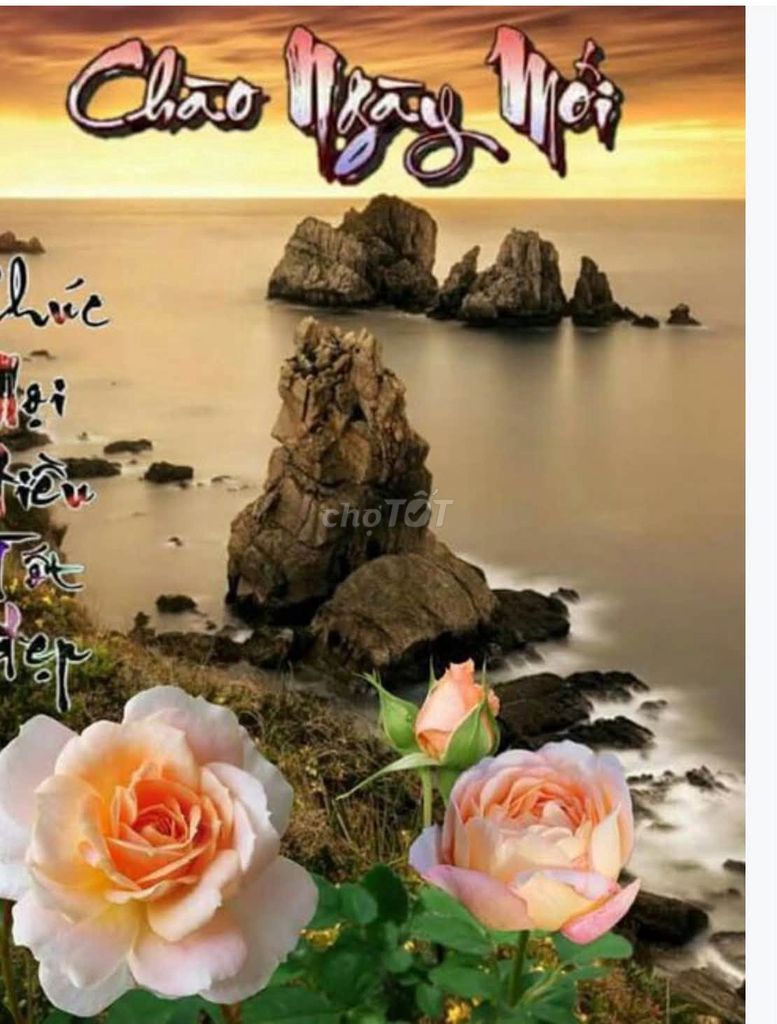 Bán nhà Lê Trọng Tấn, Thanh Xuân, dưới 12 tỷ