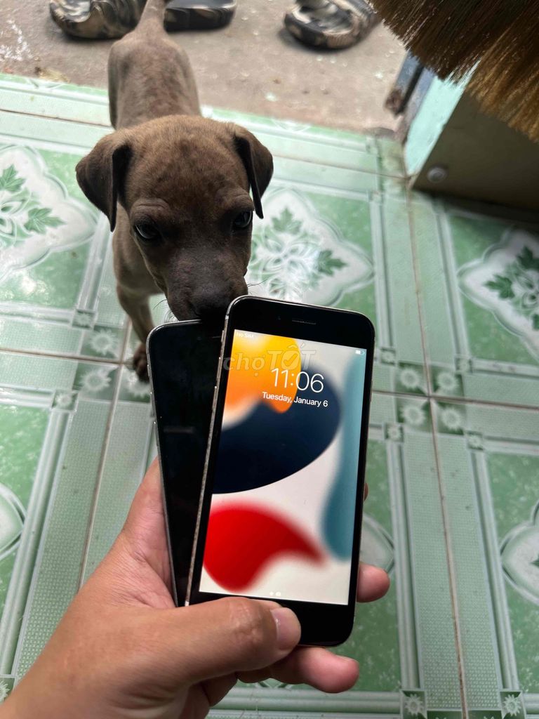 Apple iPhone 6s Bạc Đã dùng. Mua bán Điện thoại tại Thành phố Biên Hòa Đồng Nai được đăng bởi ĐienThoaiCu hình 1