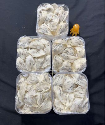 Tổ yến thô 100g ít lông. Mua bán Đồ ăn, thực phẩm và các loại khác tại Quận Gò Vấp Tp Hồ Chí Minh được đăng bởi BÙI THỊ YẾN OANH 