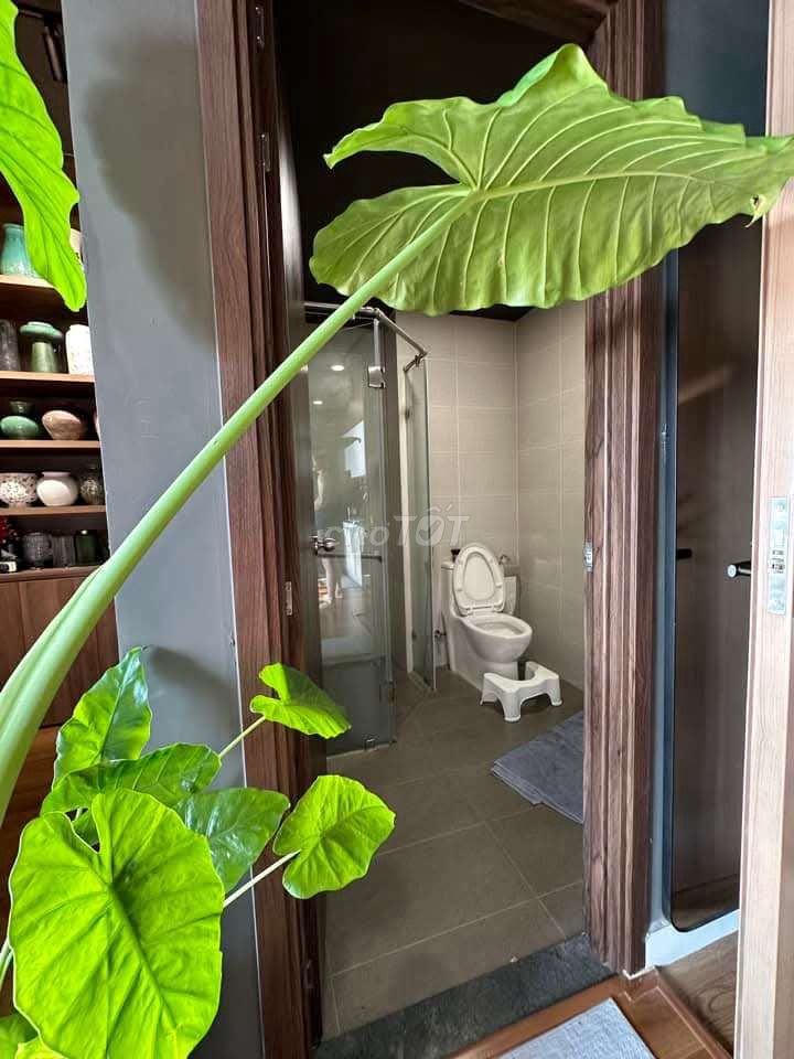🩷The Pegasuite 2🩷 Căn 1PN +1 🩷Bán 2.750 sẵn sổ sang tên. Mua bán căn hộ/chung cư tại Quận 8 Tp Hồ Chí Minh được đăng bởi Bùi Triệu Đạt hình 1