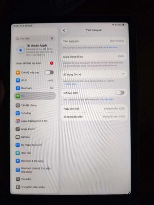 Apple iPad Air M3 256GB