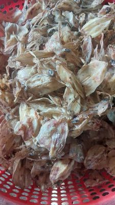 Mực súp nấu chế biến hủ tiếu ăn mì nước lèo. Mua bán Đồ ăn, thực phẩm và các loại khác tại Quận 12 Tp Hồ Chí Minh được đăng bởi Mis Nhung