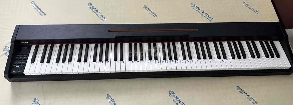Đàn piano điện Victor VT02 Đen Âm thanh chân thực. Mua bán Nhạc cụ tại Huyện Châu Thành Tiền Giang được đăng bởi Hồ Thanh Vy hình 1