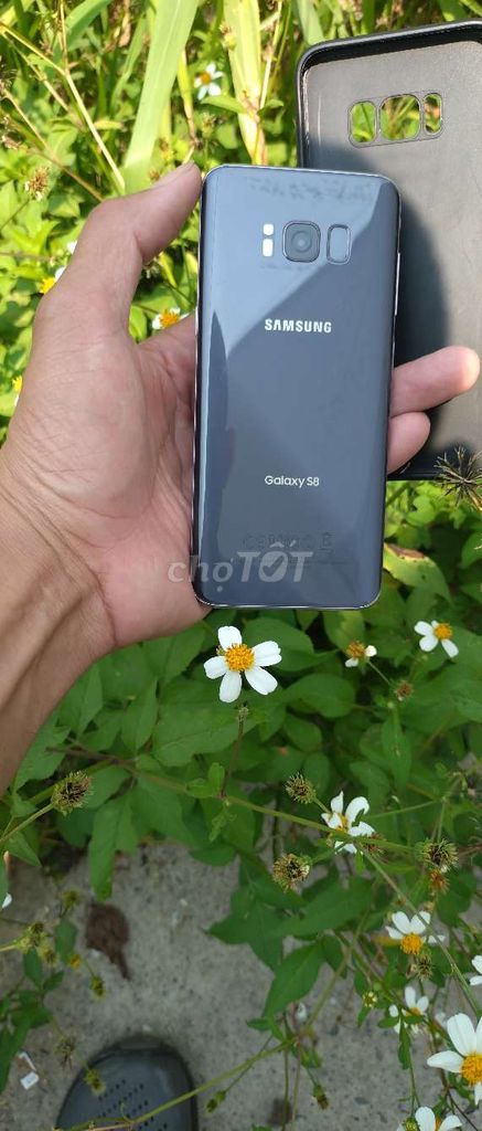 Samsung Galaxy S8 Xám Đã sử dụng. Mua bán Điện thoại tại Huyện Bàu Bàng Bình Dương được đăng bởi Huỳnh  hình 1