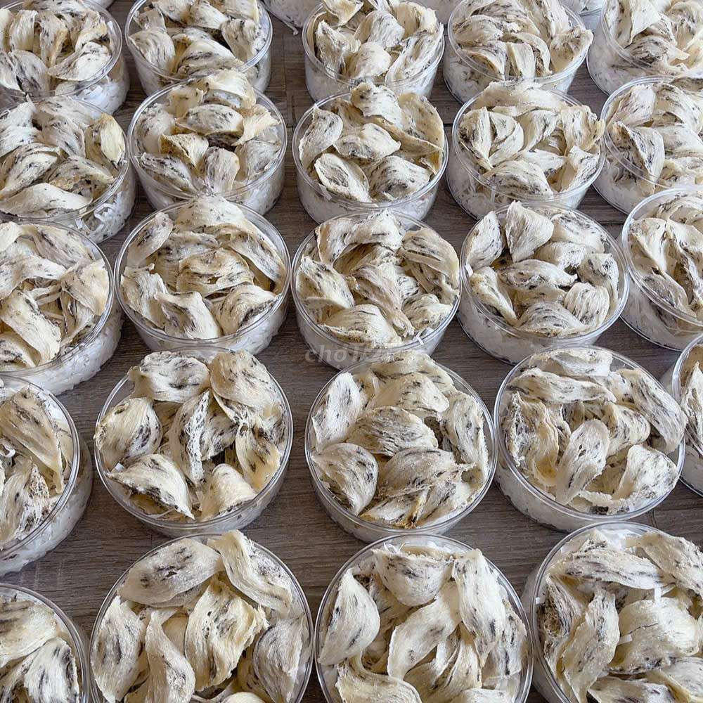 ツバメの巣 Tổ yến thô 50g ツバメの巣 Tổ yến thô 100g 【公式通販】