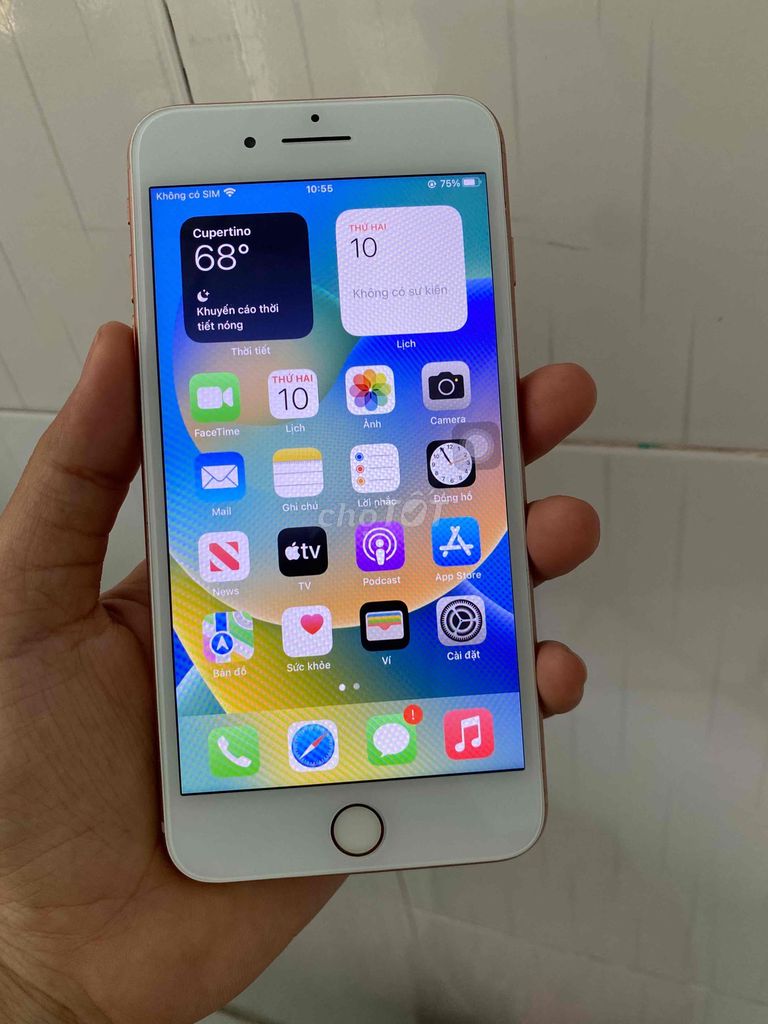 iPhone 8 Plus 64 mg Vàng hồng pin 100%. Mua bán Điện thoại tại Thị xã Tân Uyên Bình Dương được đăng bởi điện thoại cũ tân uyên hình 1