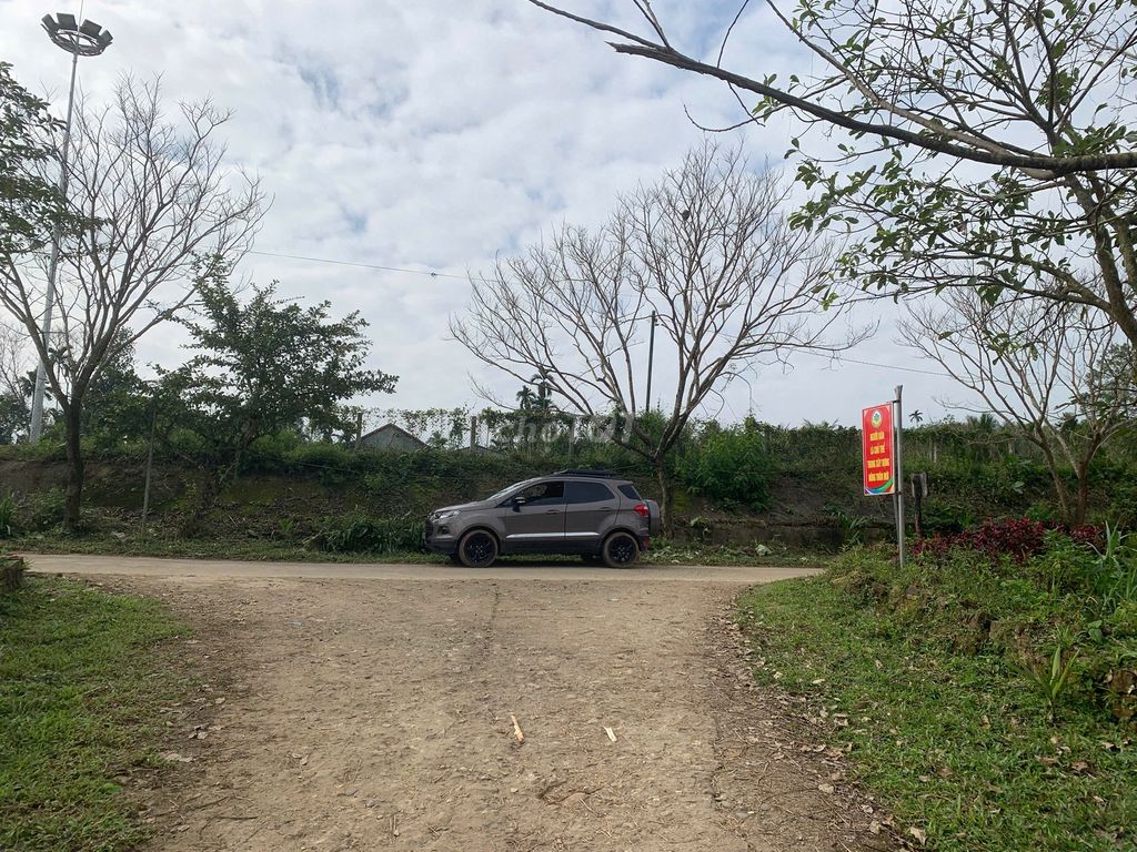 Ảnh số 4